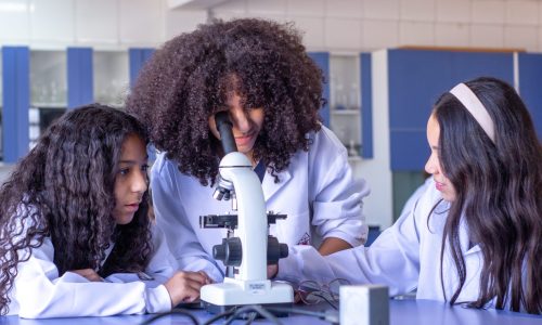 04 ENSINO FUNDAMENTAL ANOS FINAIS